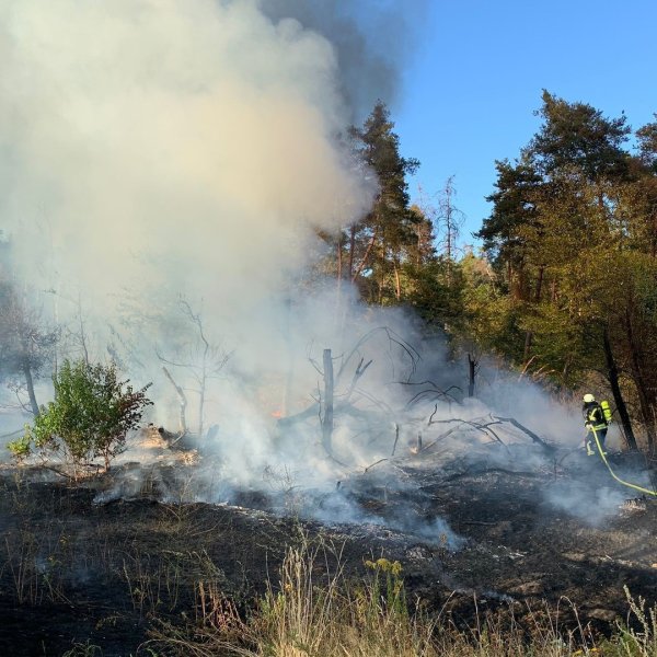 2022_20220807_EINSATZ_BRAND-Flaechenbrandklein_01