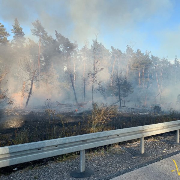 2022_20220807_EINSATZ_BRAND-Flaechenbrandklein_02