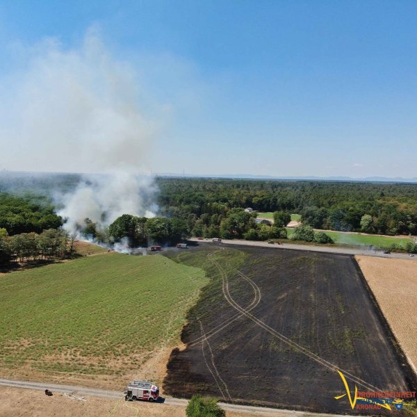 2022_20220809_EINSATZ_BRAND-Flaechenbrandgross_01