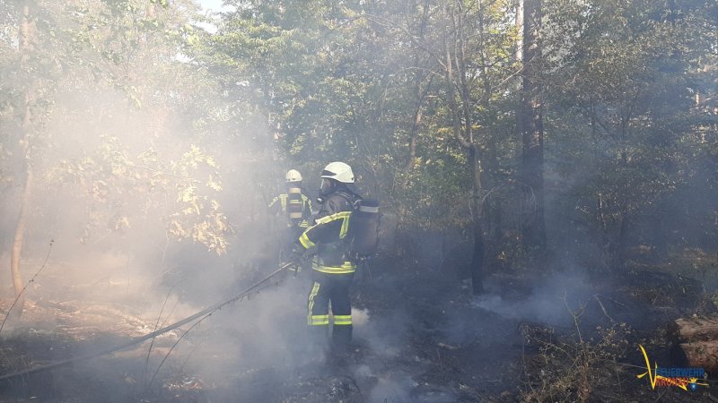 2022_20220809_EINSATZ_BRAND-Waldbrandklein_02