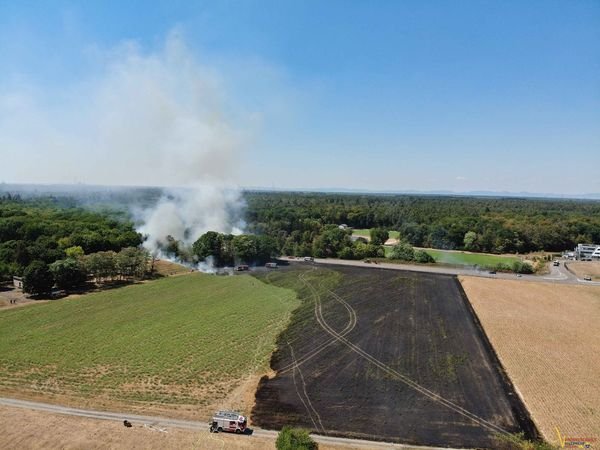 2022_20220810_EINSATZ_BRAND-Flaechenbrandgross_02